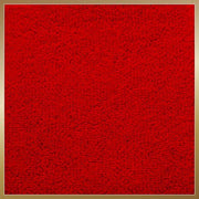 p-red_e0579d82-8a54-48fd-afd2-